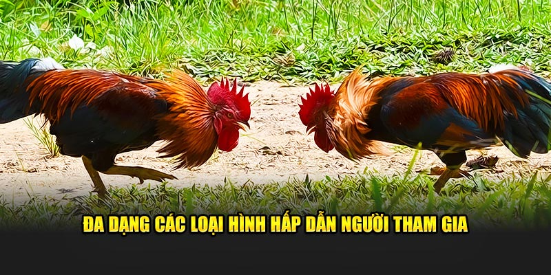 Đa dạng các loại hình hấp dẫn người tham gia