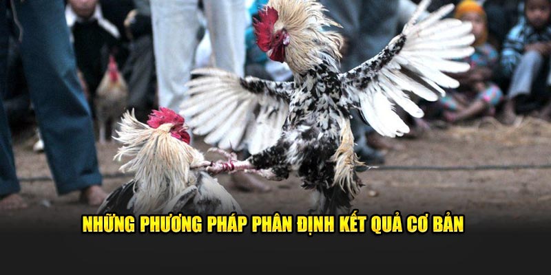 Những phương pháp phân định kết quả cơ bản 