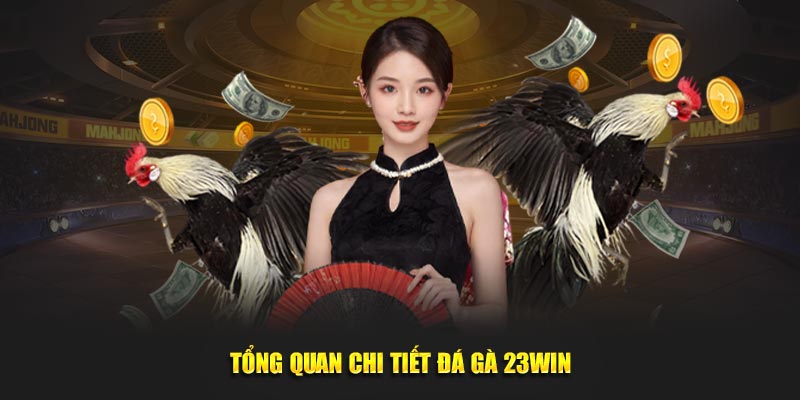 Tổng quan chi tiết đá gà 23WIN