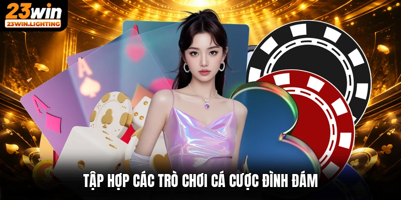 Tập hợp các trò chơi cá cược đình đám