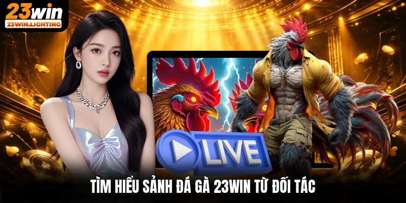 Tìm hiểu sảnh đá gà 23win từ đối tác