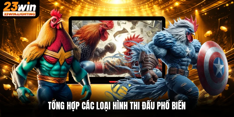 Tổng hợp các loại hình thi đấu phổ biến